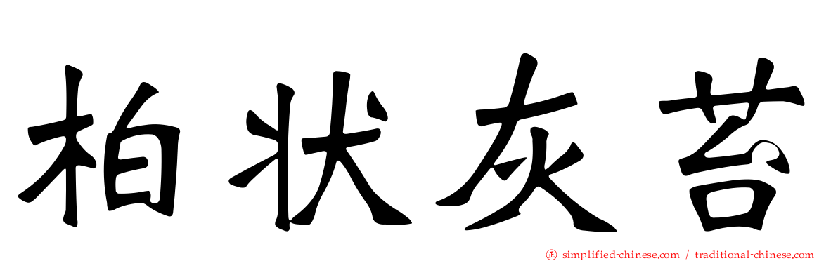 柏状灰苔
