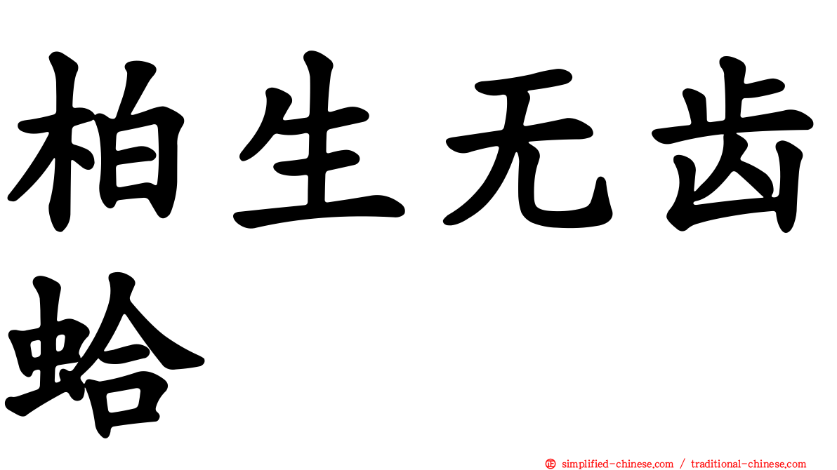 柏生无齿蛤