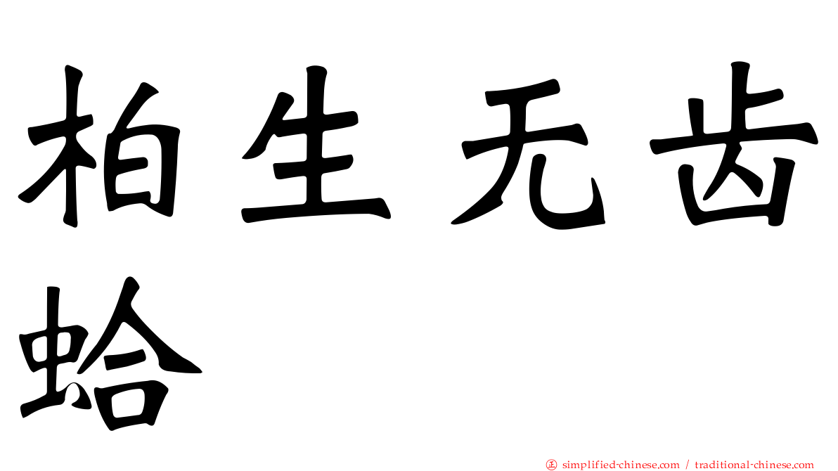 柏生无齿蛤