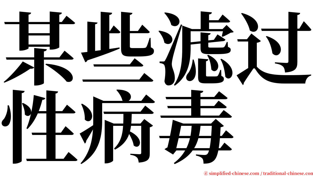 某些滤过性病毒 serif font