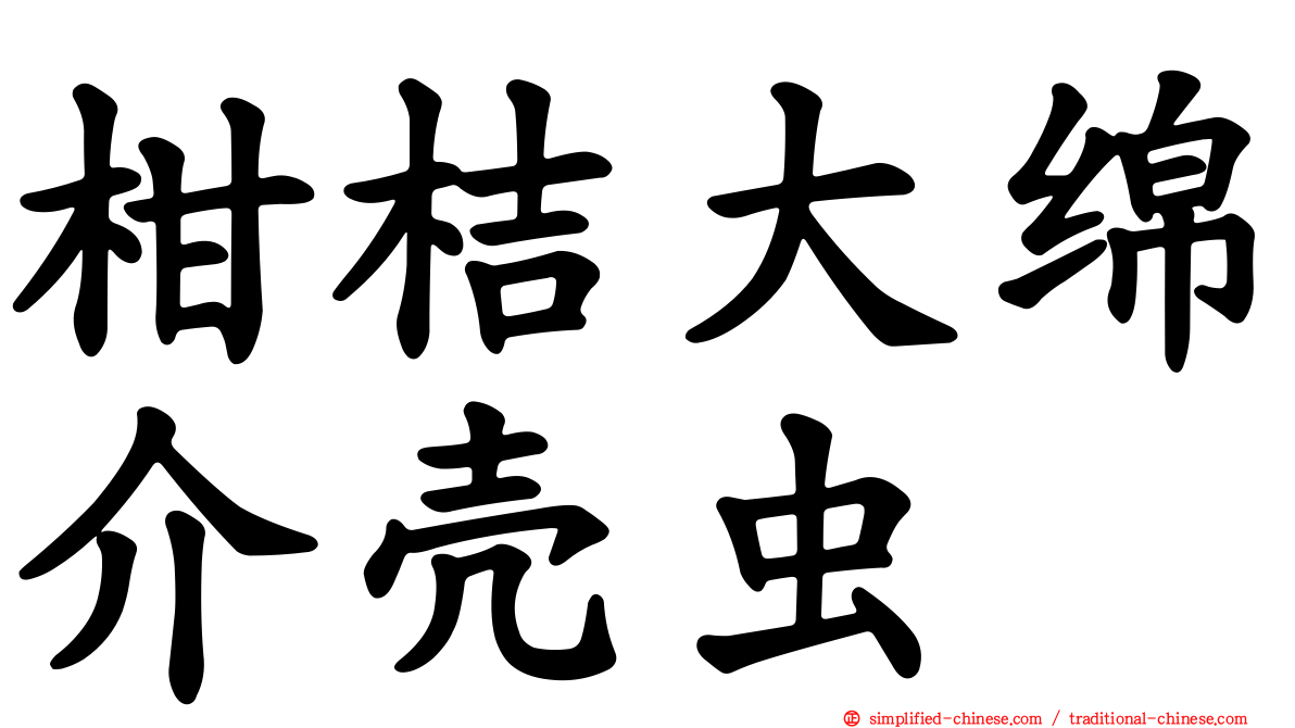 柑桔大绵介壳虫