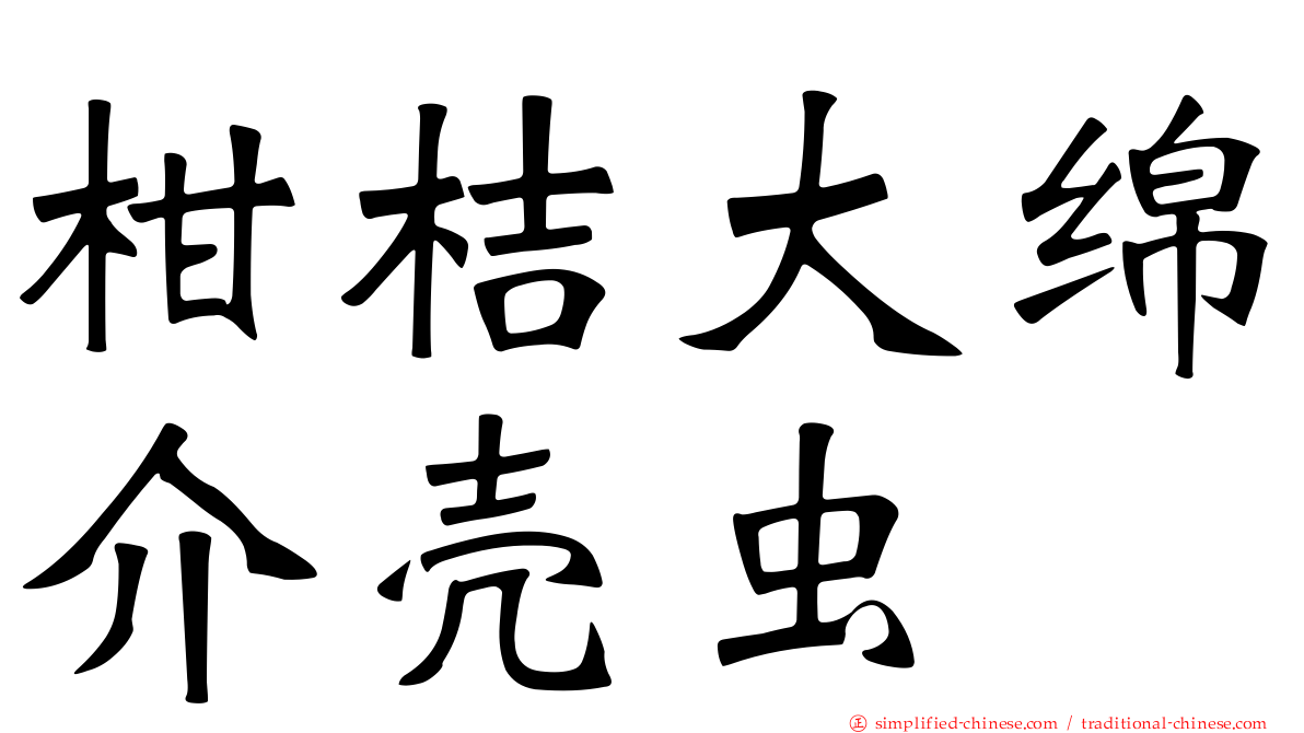柑桔大绵介壳虫