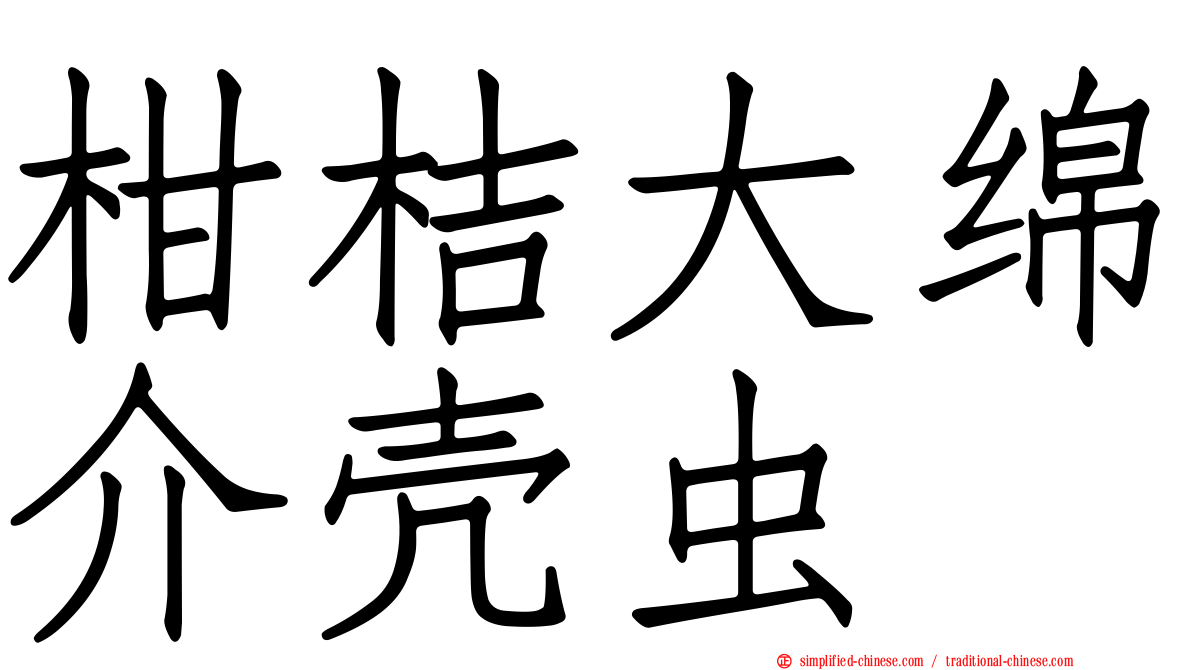 柑桔大绵介壳虫
