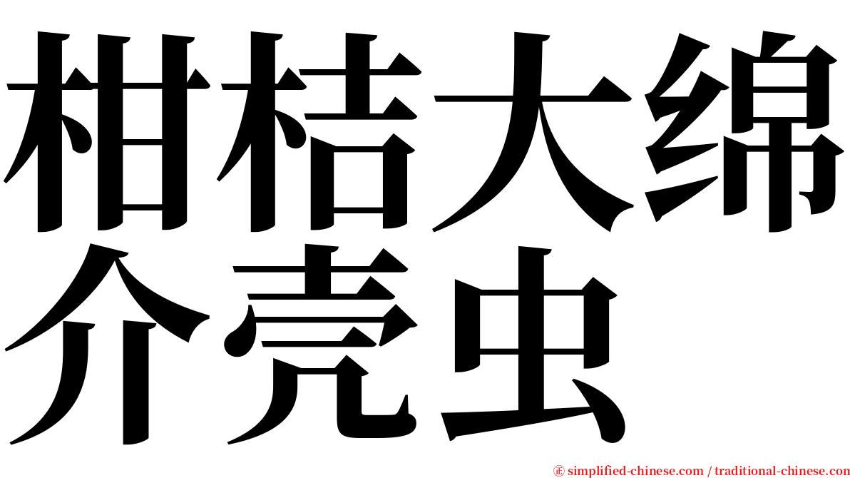 柑桔大绵介壳虫 serif font