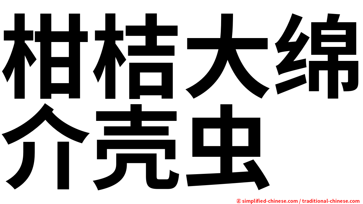 柑桔大绵介壳虫
