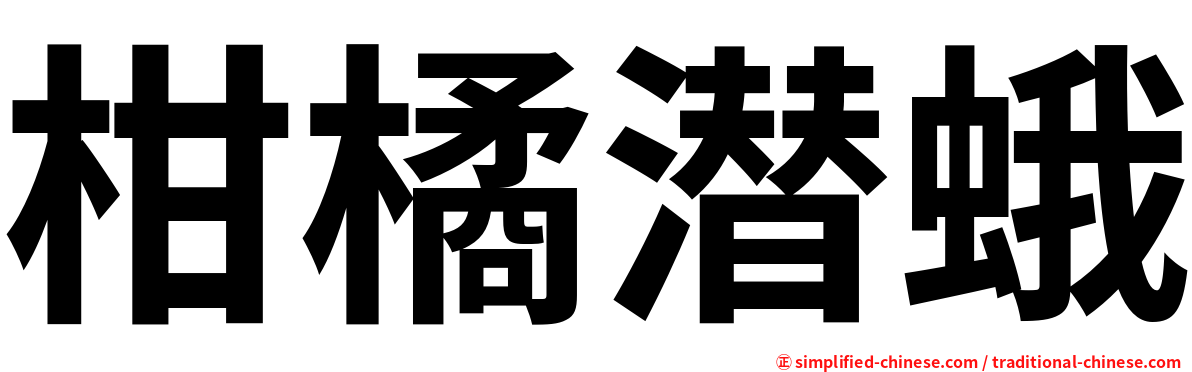 柑橘潜蛾
