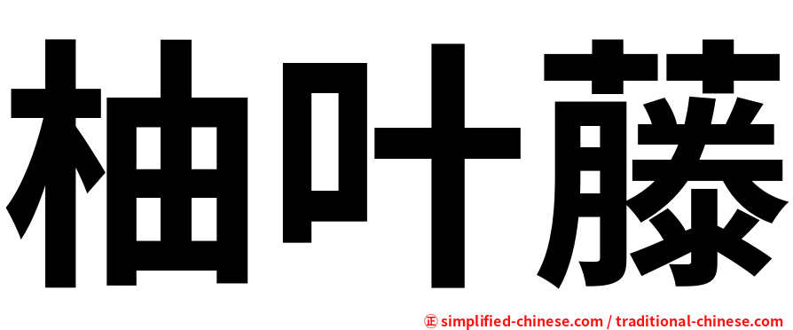 柚叶藤