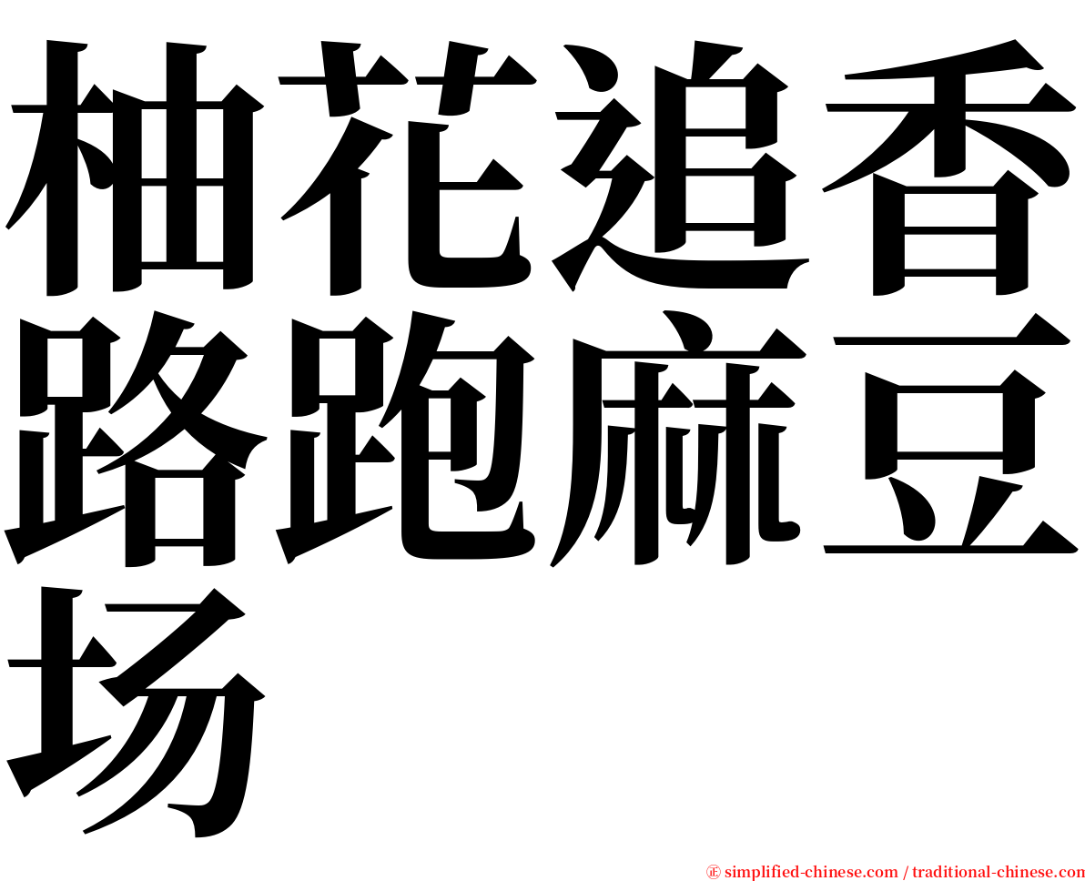 柚花追香路跑麻豆场 serif font