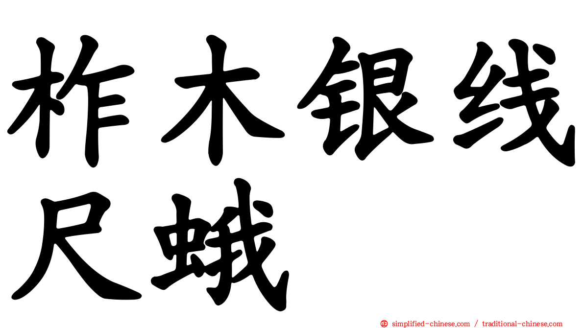 柞木银线尺蛾