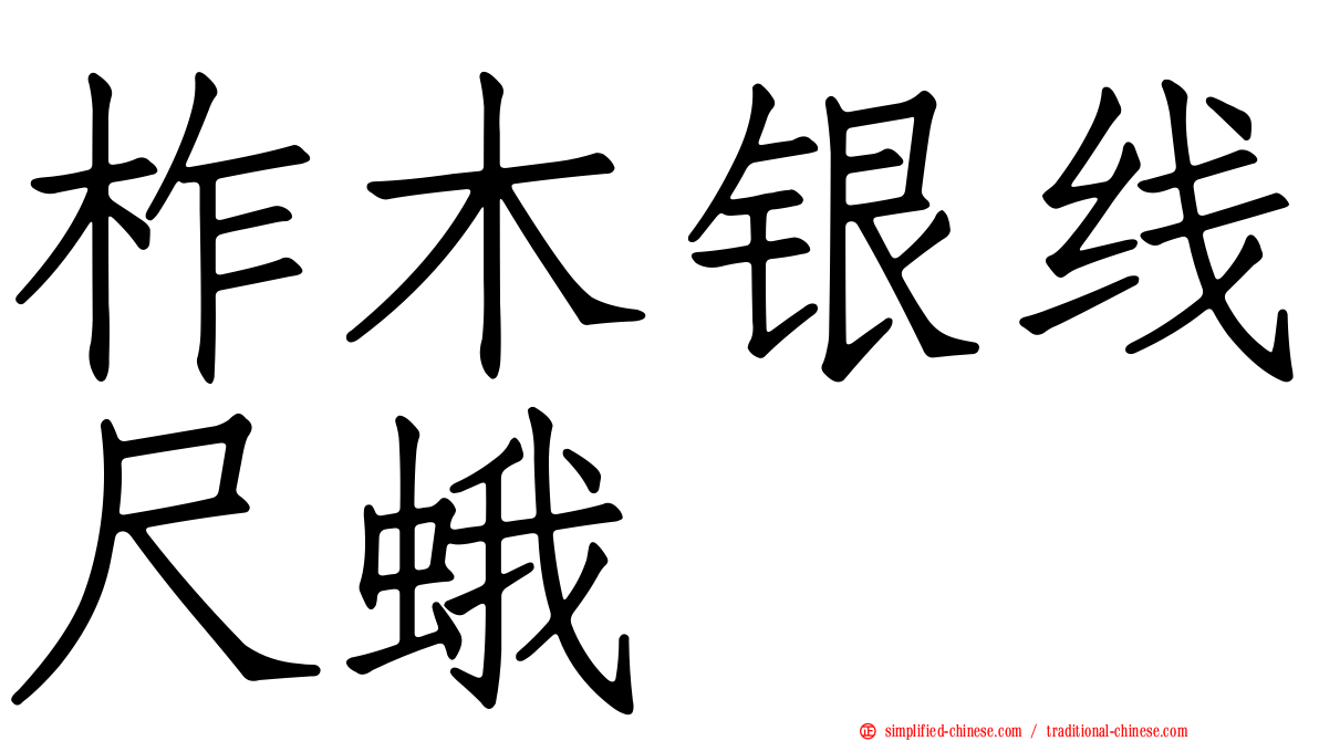 柞木银线尺蛾
