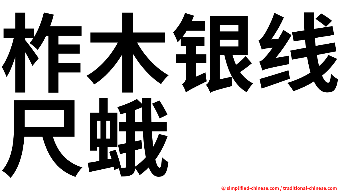 柞木银线尺蛾