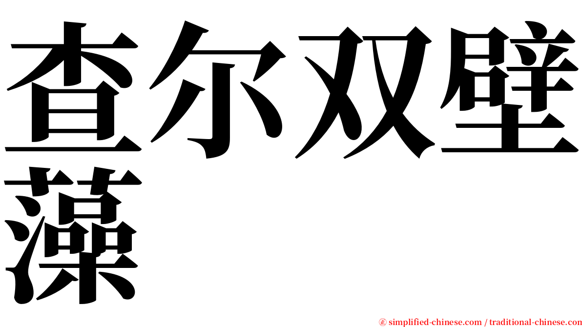 查尔双壁藻 serif font