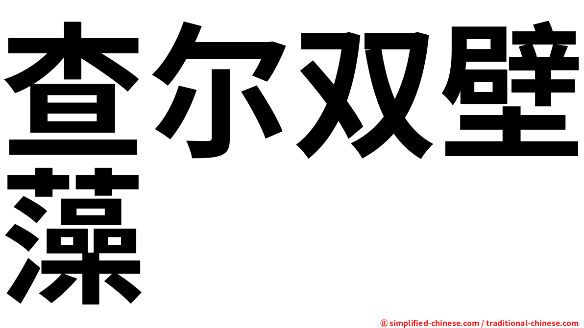 查尔双壁藻