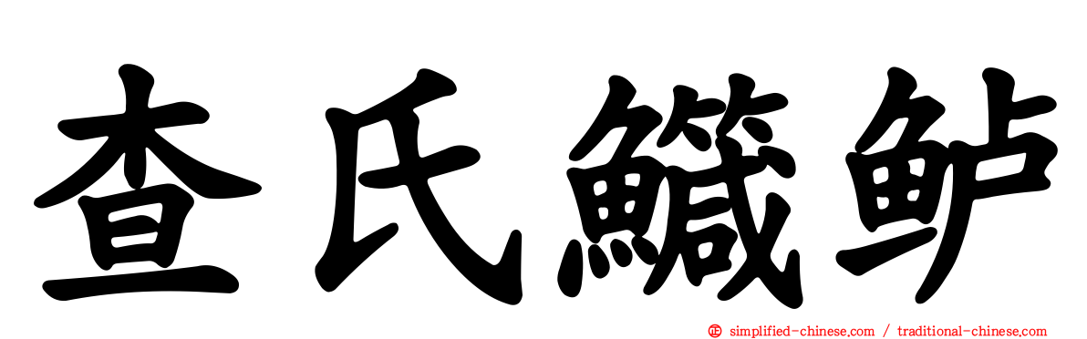查氏鱵鲈