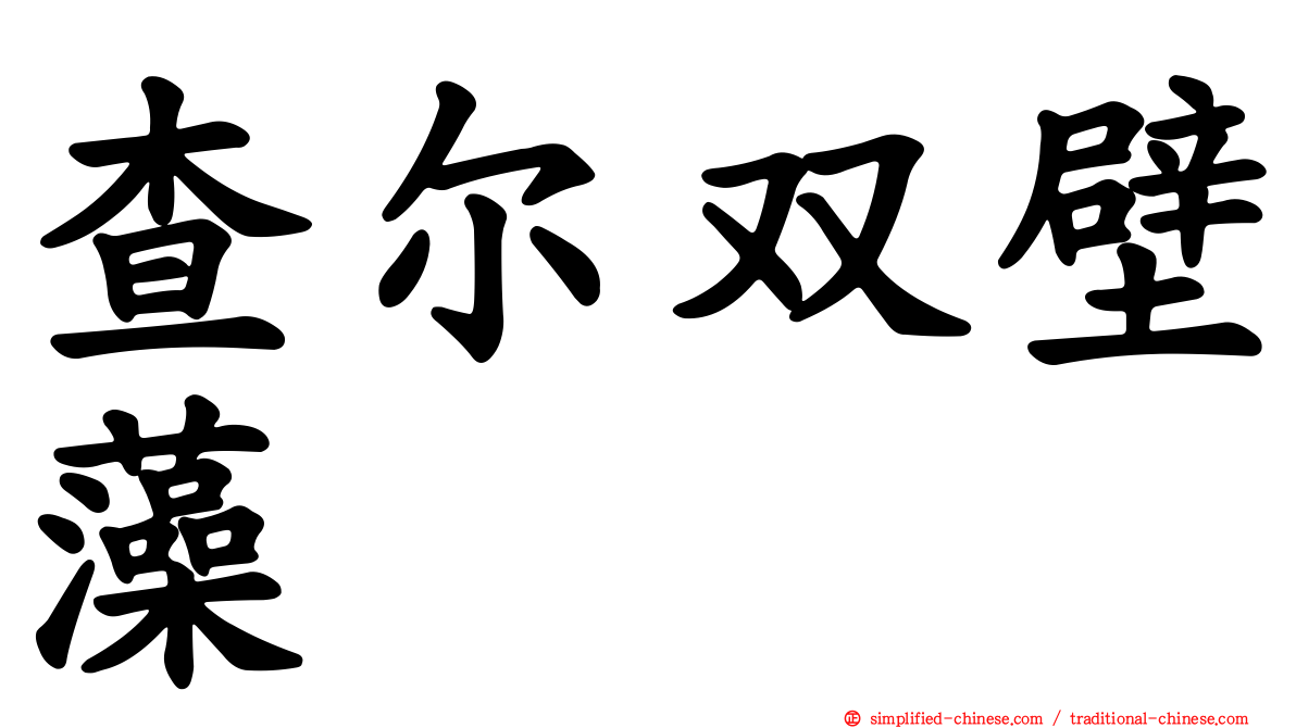 查尔双壁藻