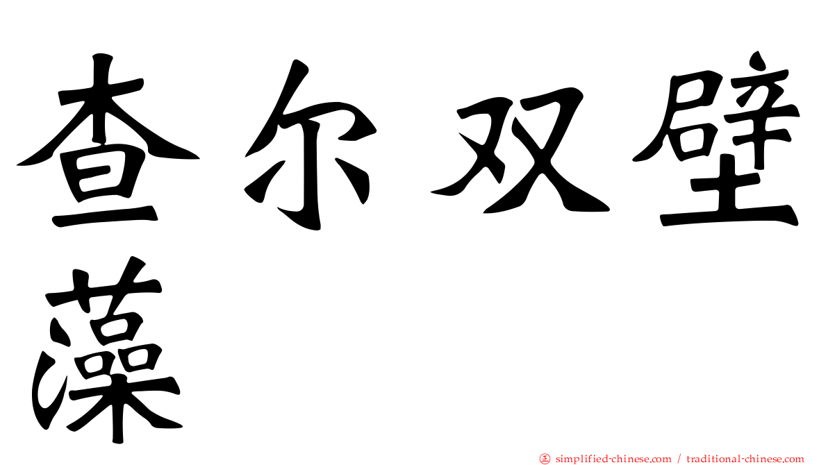 查尔双壁藻