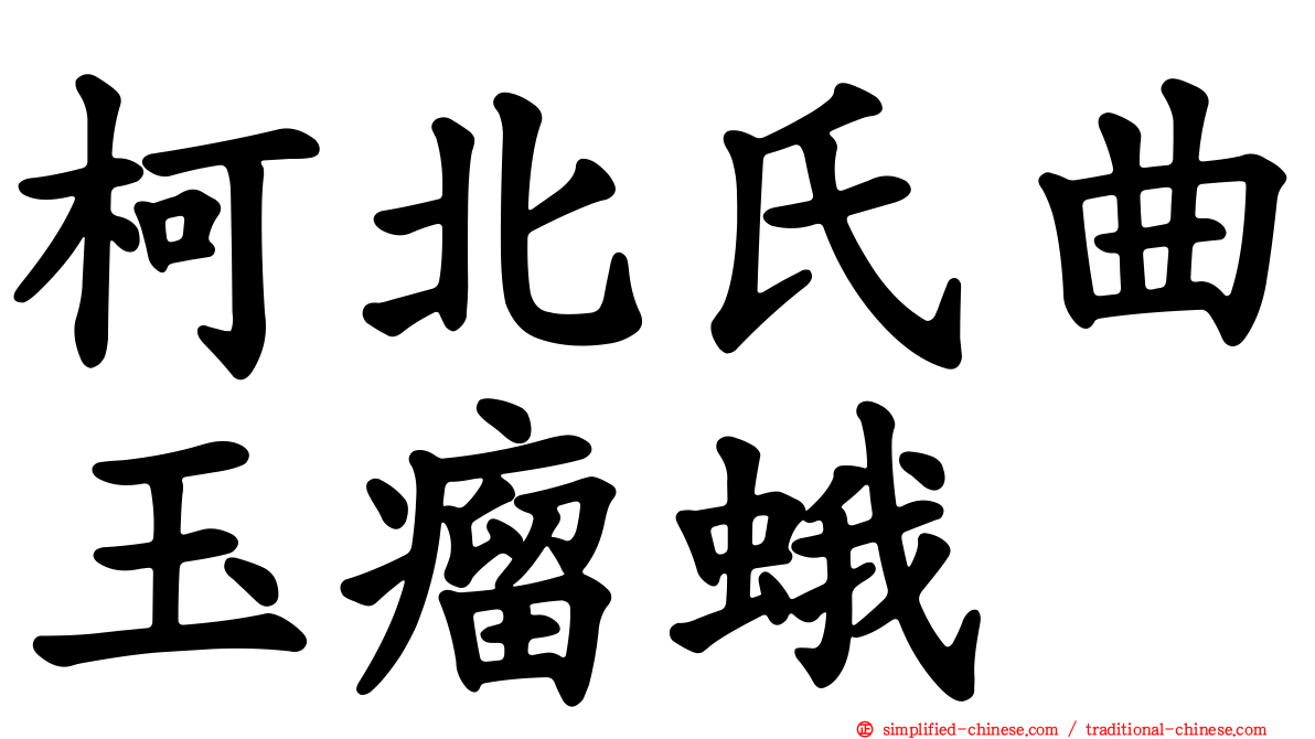 柯北氏曲玉瘤蛾