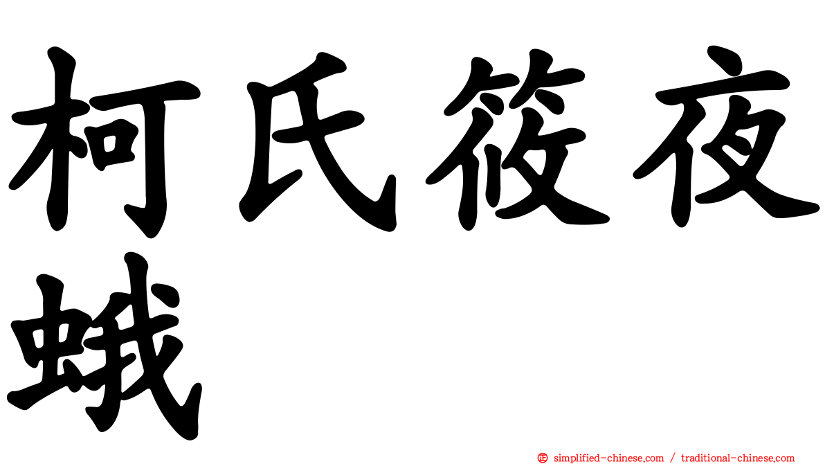 柯氏筱夜蛾
