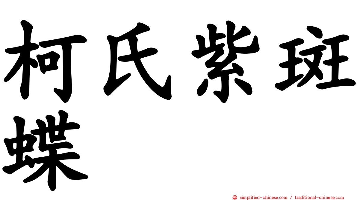 柯氏紫斑蝶