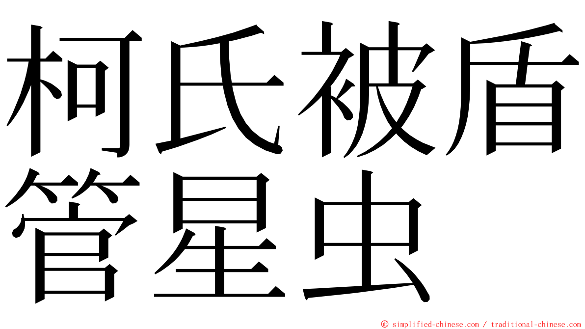柯氏被盾管星虫 ming font