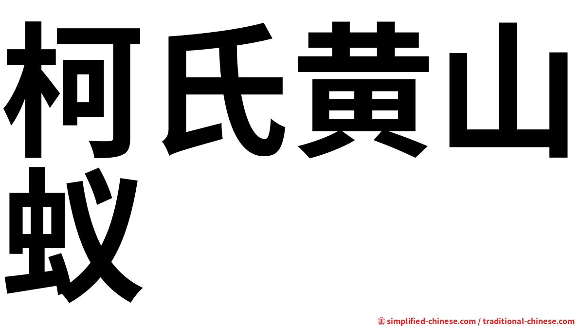 柯氏黄山蚁