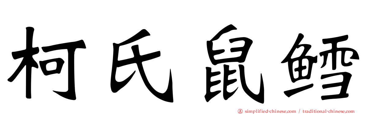 柯氏鼠鳕