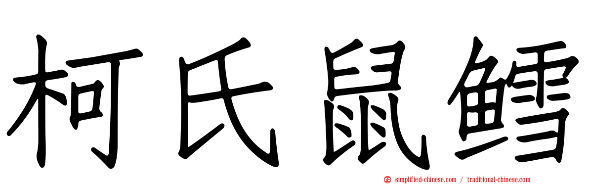 柯氏鼠鳕