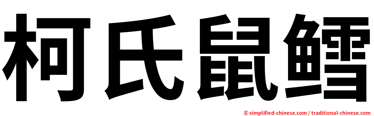 柯氏鼠鳕