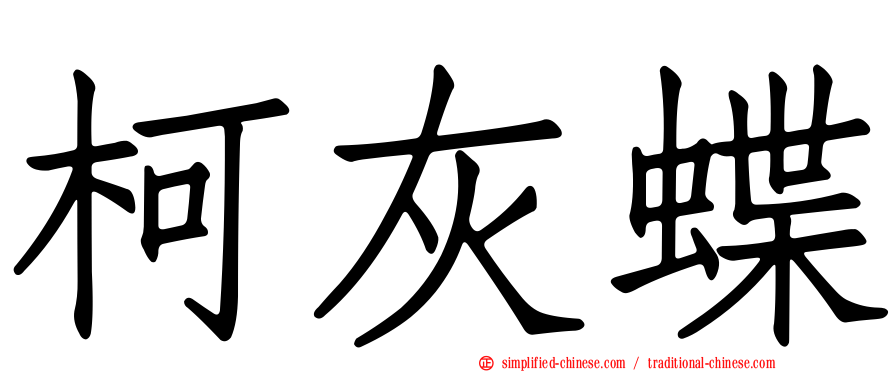 柯灰蝶