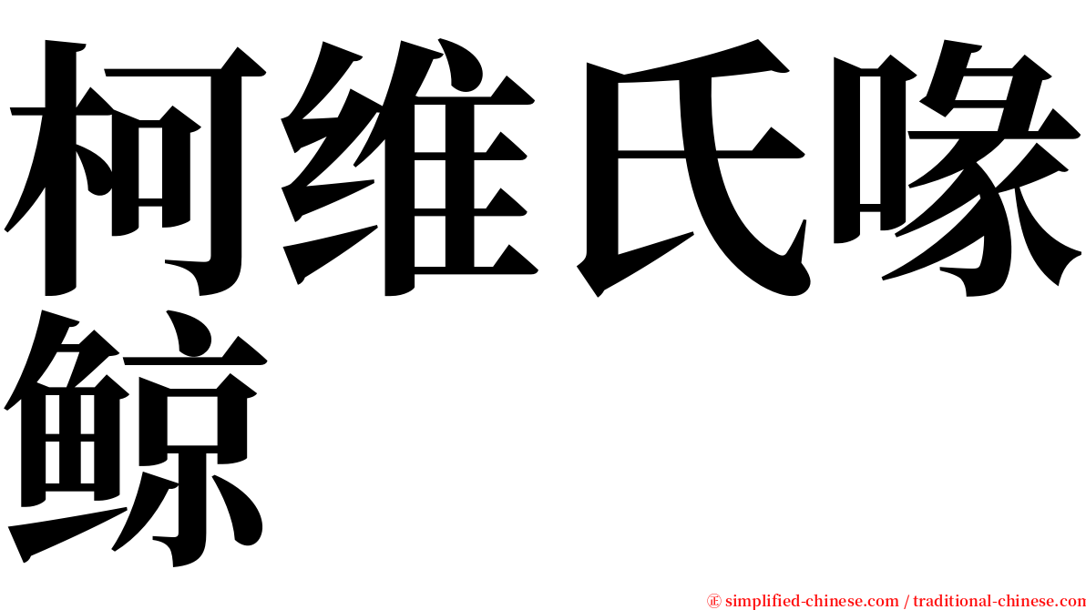 柯维氏喙鲸 serif font