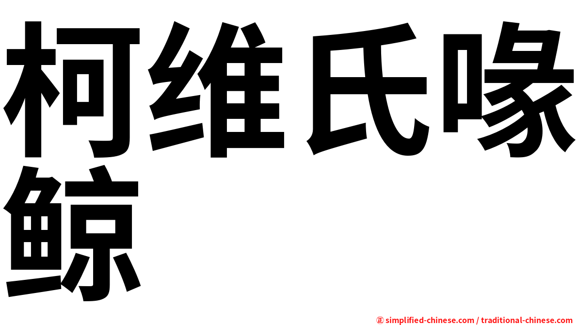 柯维氏喙鲸