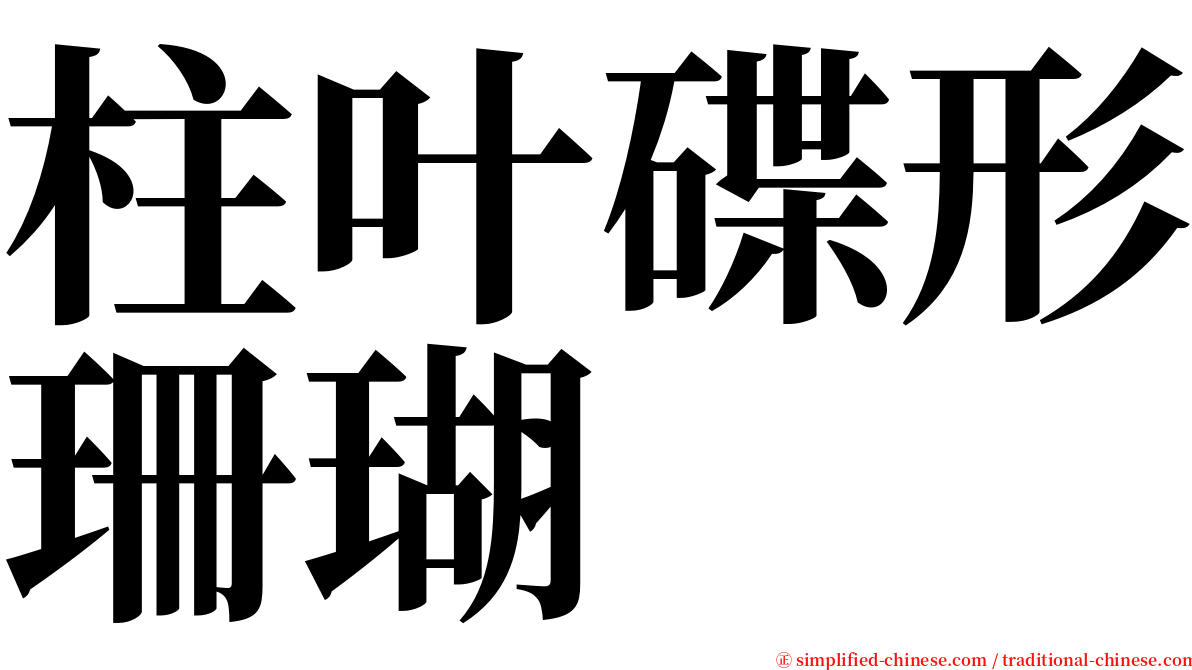 柱叶碟形珊瑚 serif font