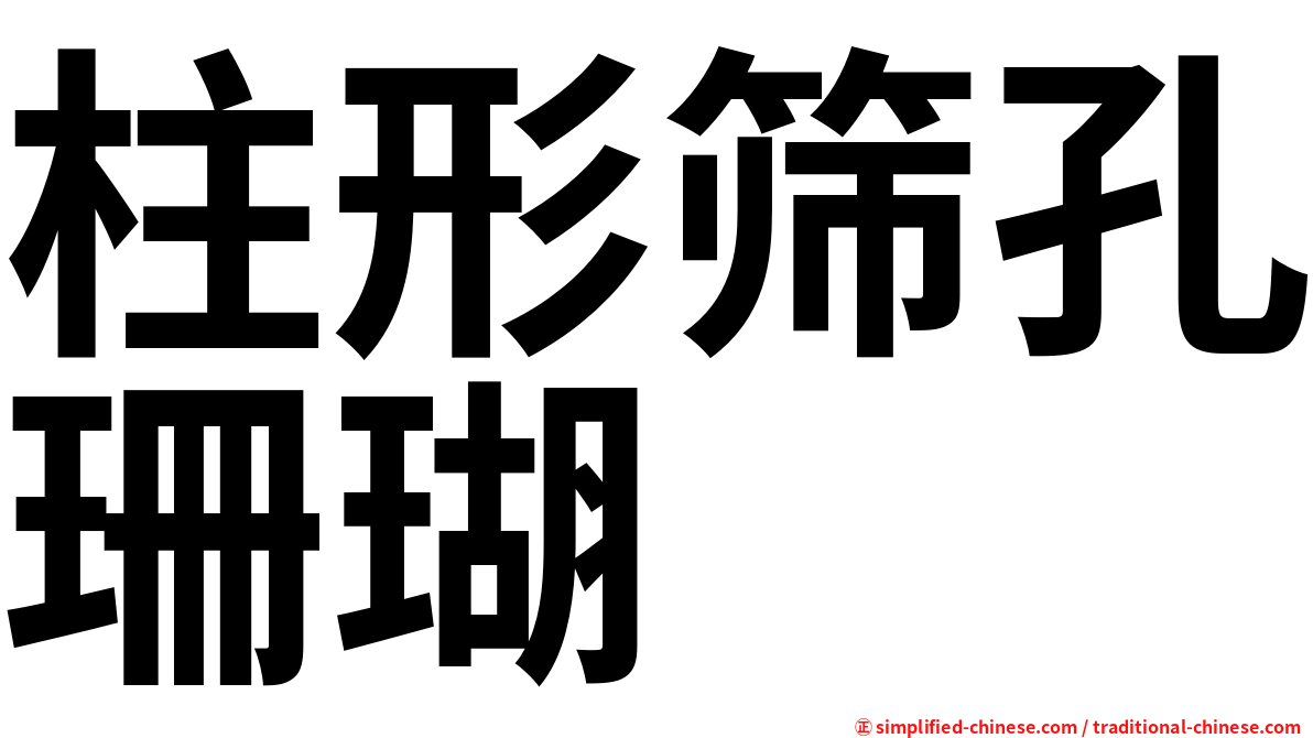 柱形筛孔珊瑚