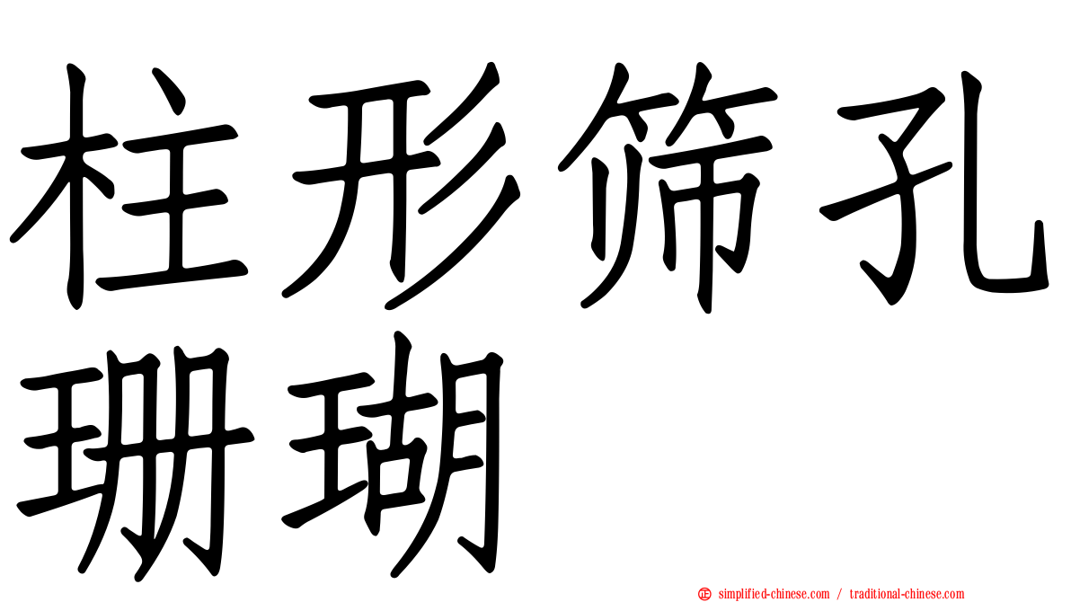 柱形筛孔珊瑚