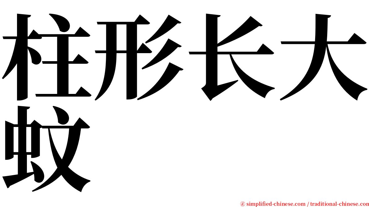 柱形长大蚊 serif font