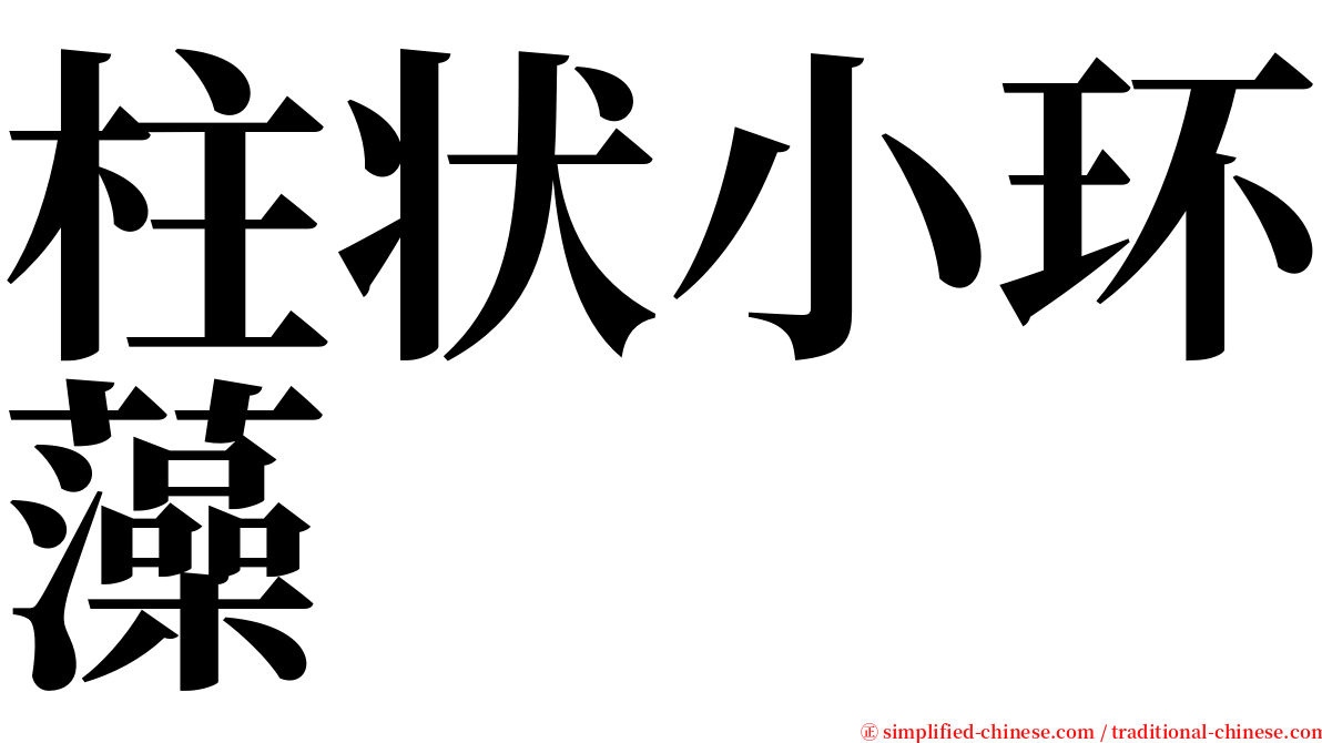 柱状小环藻 serif font