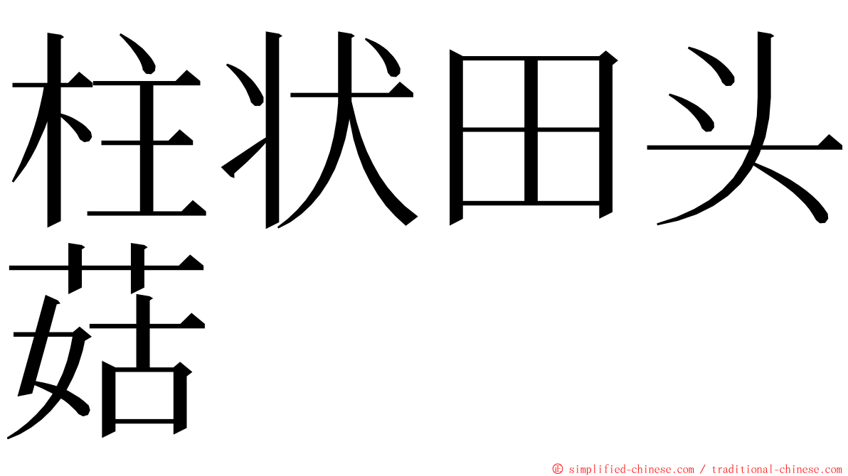 柱状田头菇 ming font