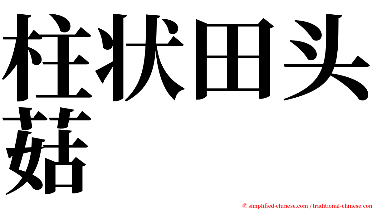 柱状田头菇 serif font