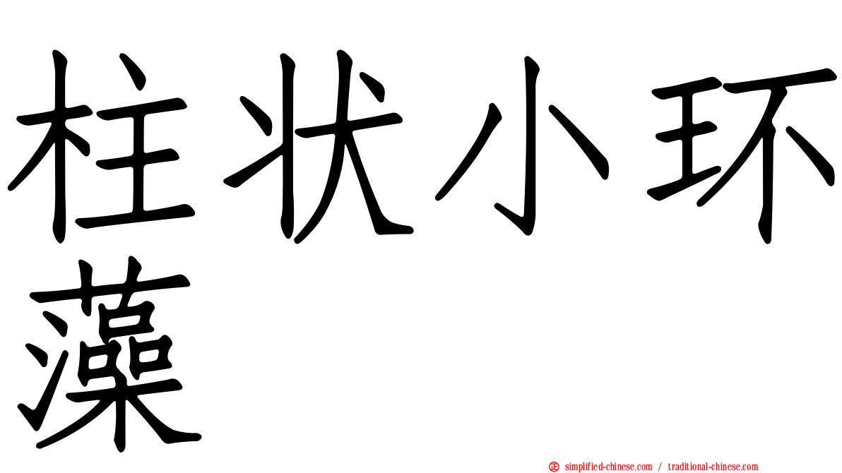柱状小环藻