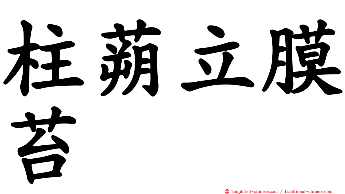 柱蒴立膜苔