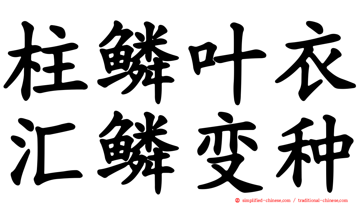 柱鳞叶衣汇鳞变种