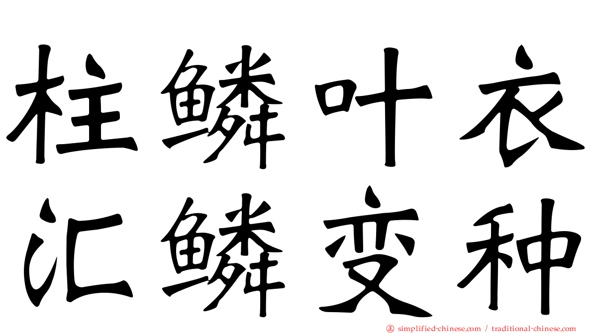 柱鳞叶衣汇鳞变种