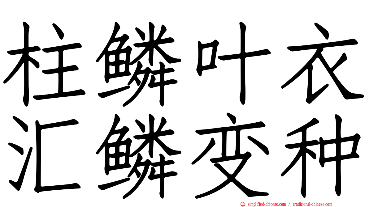 柱鳞叶衣汇鳞变种