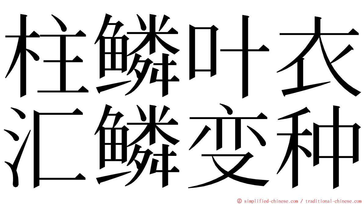 柱鳞叶衣汇鳞变种 ming font