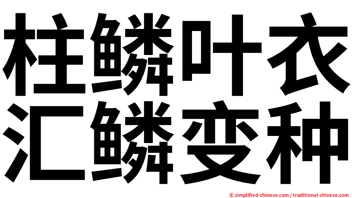 柱鳞叶衣汇鳞变种