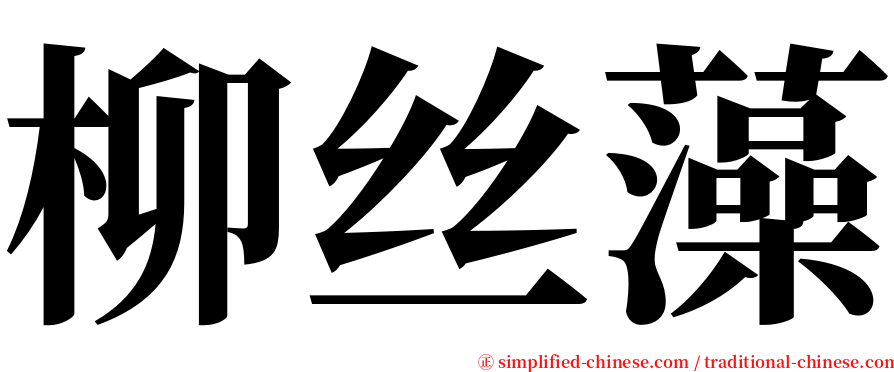 柳丝藻 serif font