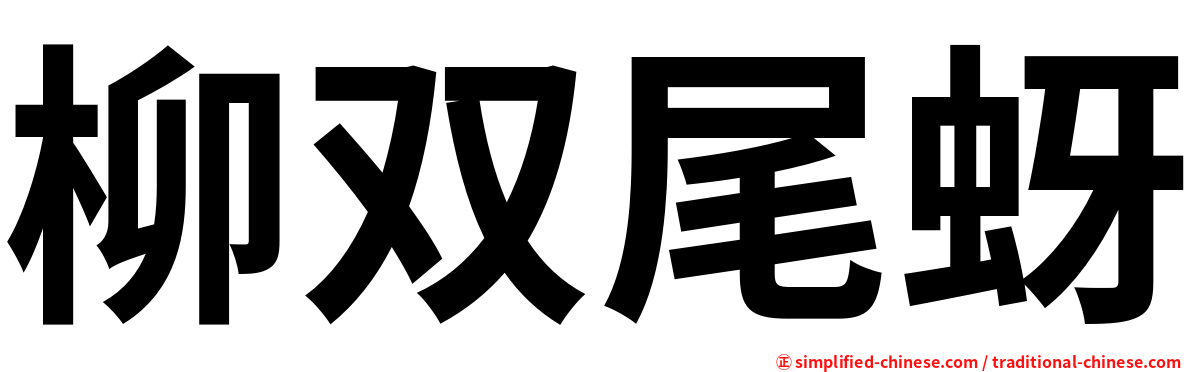 柳双尾蚜