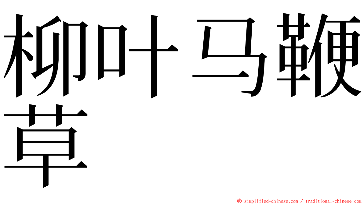 柳叶马鞭草 ming font