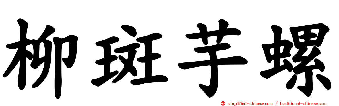 柳斑芋螺