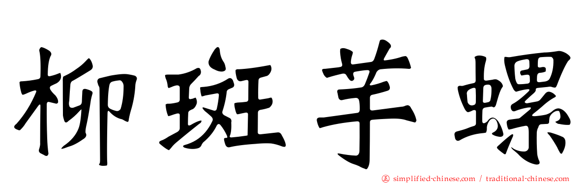 柳斑芋螺